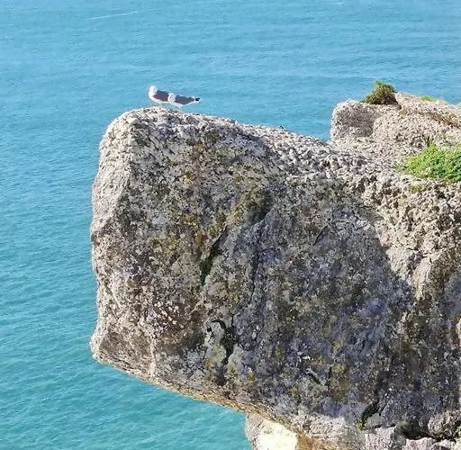 White Swell By Sitio Da Назаре