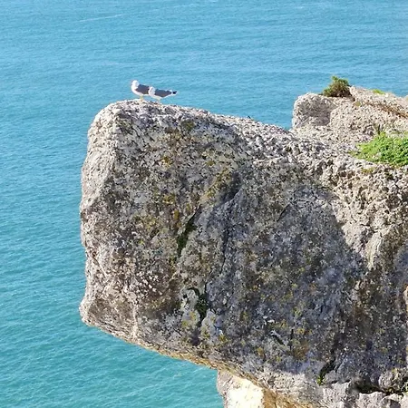 White Swell By Sitio Da דירה *