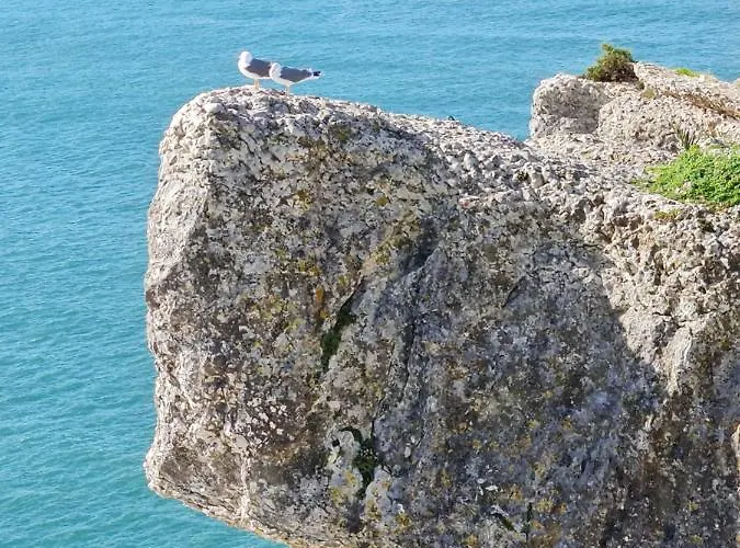 White Swell By Sítio Da Appartamento *